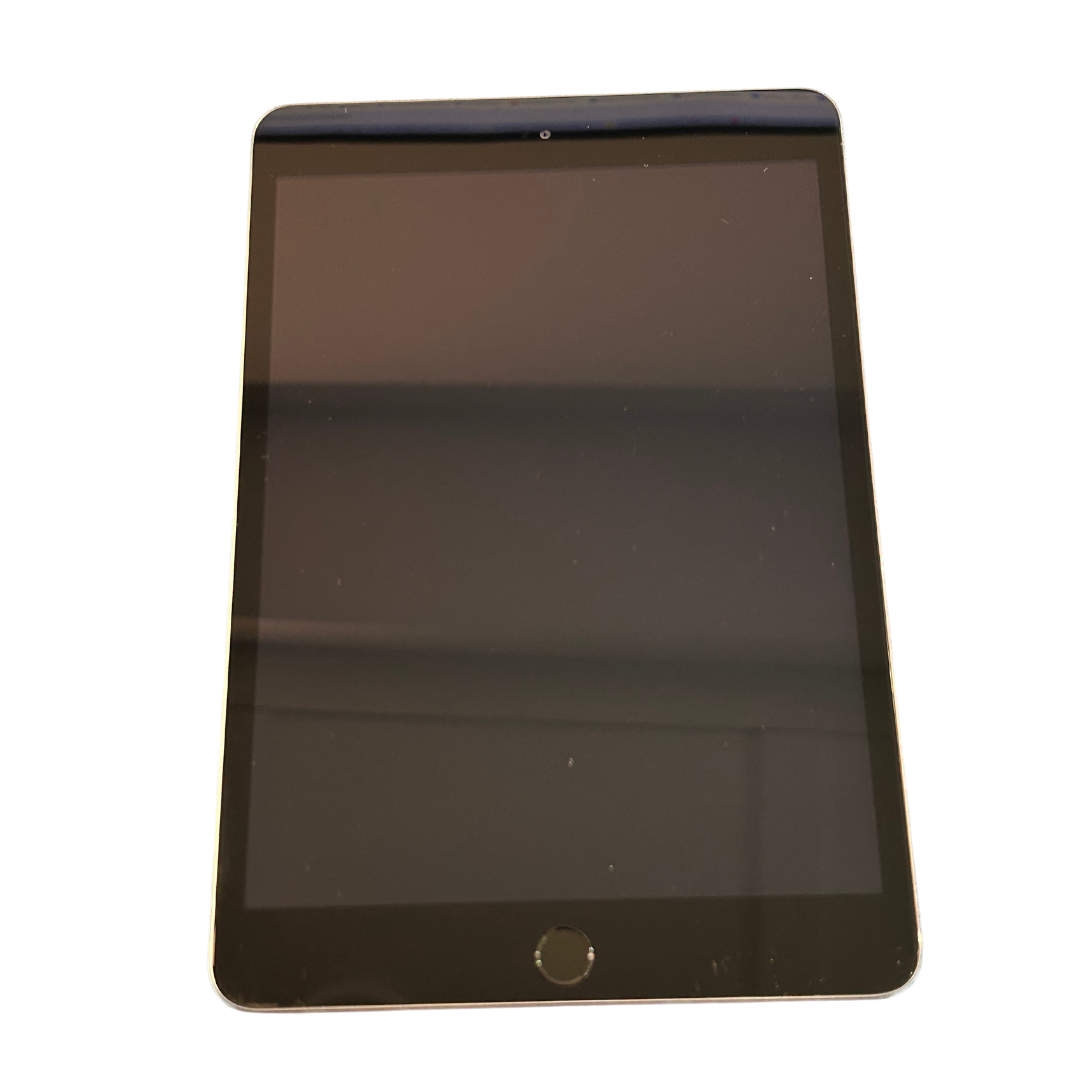 iPad mini 3 16GB