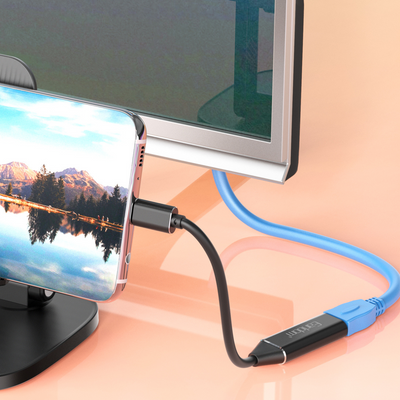Adaptateur Earldom W11 Type-C vers HDMI (résolution 4K)